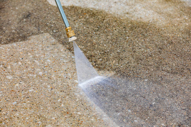 Best Sidewalk and Walkway Cleaning  in Muscatine, IA