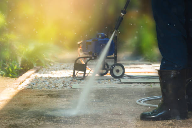 Best Solar Panel Cleaning  in Muscatine, IA